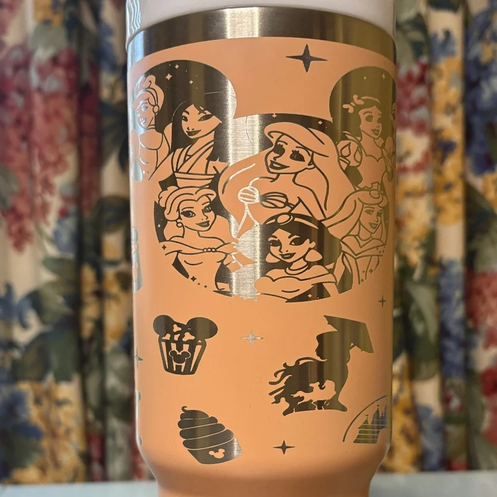 40oz Disney Princess Tumbler with Straw